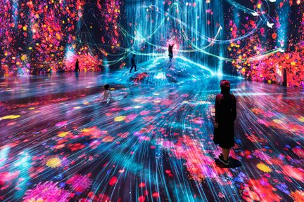 teamLab Borderless Ticket: MORI Building DIGITAL ART MUSEUM