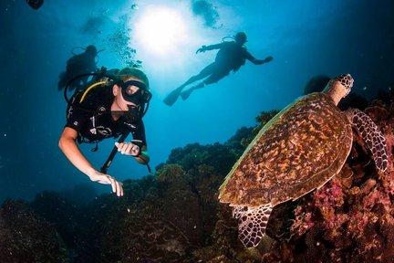 PADI Open Water Diver di Koh Tao dengan PADI 5 Star Dive Center