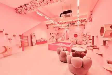 Inuyama Cat Cafe in Johor Bahru