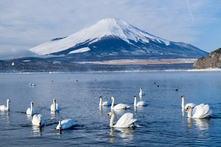 富士スバルライン五合目：旅行前に知っておきたいおすすめ情報