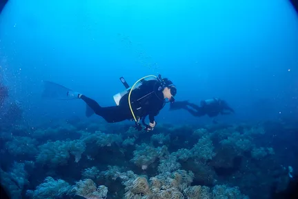 新北:将Diving潜水俱乐部体验潜水