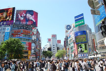 东京市区客制化包车一日游（含专业导游）