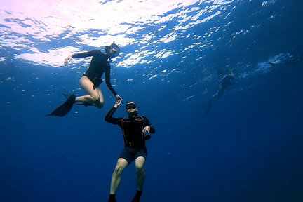 Nuevo Taipei ｜ Buceo de lucha en la cueva del dragón Gongliao ｜ OW ・ Examen AOW ・ Examen de apnea ・ Experiencia de buceo