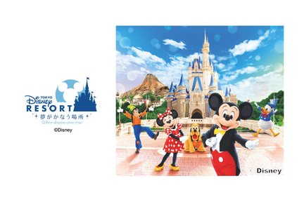 Biglietto per il parco del Tokyo Disney Resort