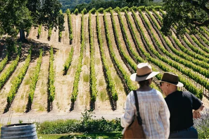 나파 밸리 & 소노마 일일 와인 투어 (샌프란시스코 출발)