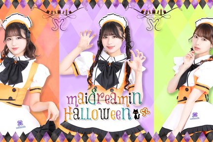 Maid cafe experience Maidreamin (Hokkaido)