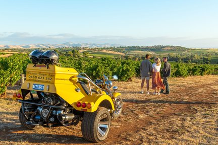 3.5 Hours Barossa Uncut Trike Tour 