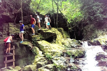 Tour di un giorno di trekking nel Parco Nazionale di Bach Ma