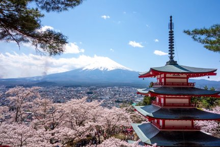 Eintägige Tour mit Blick auf den Fuji und Gotemba Premium Outlets ab Tokio