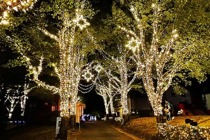 Komuro Mountains & Shuzenji Temple & Nijigo 2024 Thanksgiving Illumination Day Tour (Depart from Tokyo)