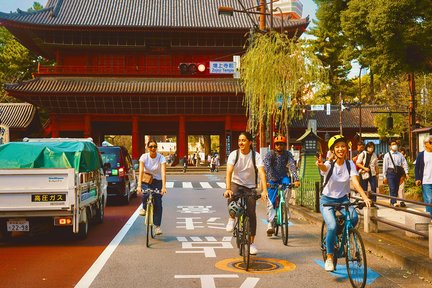 3-Hour Bike/E-Bike Tour of the Historic Sites in Tokyo