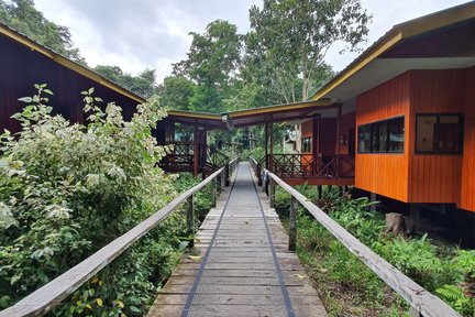 3D2N Discover Kinabatangan River with stay at Bilit Adventure Lodge in Sandakan