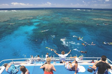 Low Isles Snorkeling Experience from Port Douglas