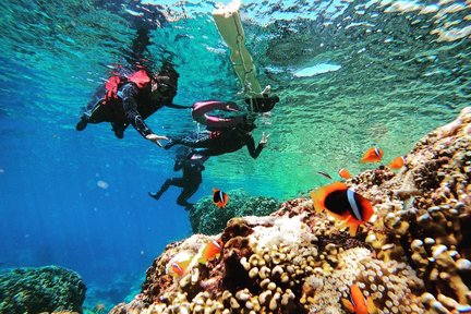 Schnorchelerlebnis auf Orchid Island mit GoPro-Fotografie