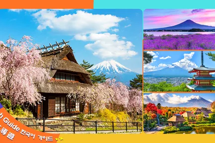 富士山探索之旅｜新仓山浅间公园·天梯小镇·忍野八海·河口湖大石公园·西湖疗愈里根场一日游