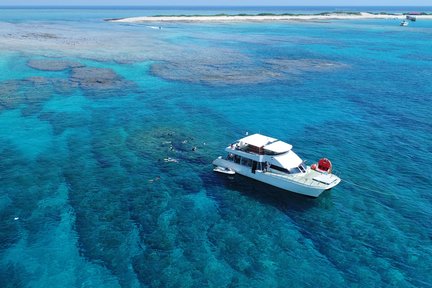 Experiencia de medio día de esnórquel y alimentación de peces en las islas Kerama desde Naha