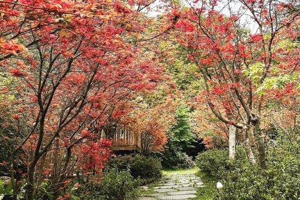 台北陽明山の福田園レジャーファームのチケット