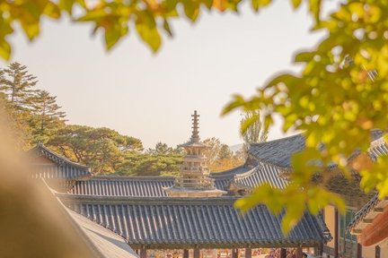 Gyeongju Private Tour with Certified Guide and Exclusive Vehicle