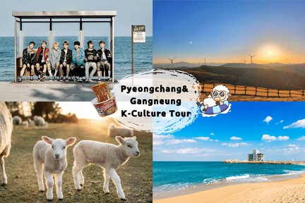 BTS / Gangneung / Beach / Sheep Ranch / Ramyeon Sunset Tour