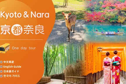 京都岚山竹林 & 奈良公园小鹿 & 伏见稻荷大社鸟居一日游 (大阪/京都出发)