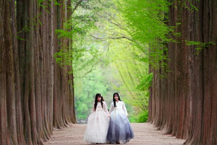 Nami Island + Alpaca + Rail Bike + Petite + LEGOLAND + Morning Calm Private Tour