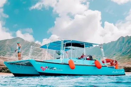 威基基海龟峡谷浮潜体验