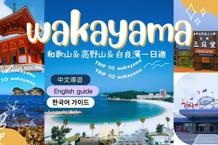 【和歌山&白滨｜高野山祈愿&秘境巡礼&ToreTore市场&白滨温泉&千畳敷&圆月岛&三段壁窟一日游】大阪难波/临空城出发