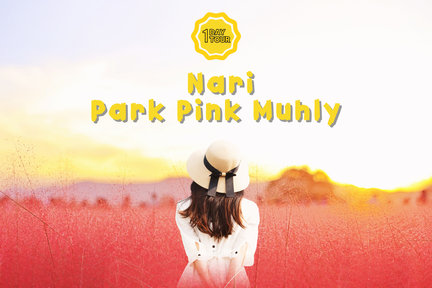 Nari Park (Pink Muhly) & Nami Island & Gangchon Rail Bike Day Tour