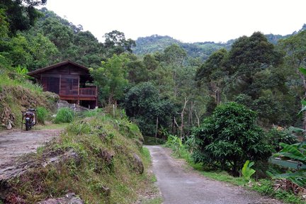 槟城登山步道＆农场美食品尝之旅