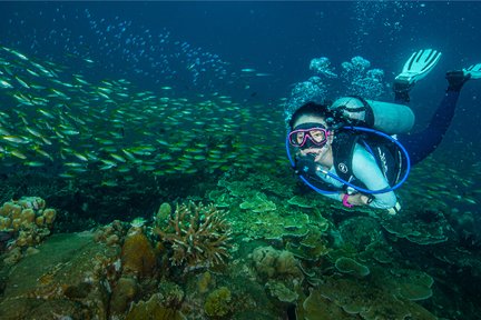 Stay and Dive di The Taaras Beach and Spa Resort (4 Hari 3 Malam)