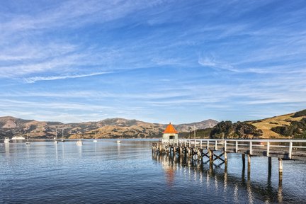 Natur-Kreuzfahrt im Hafen von Akaroa