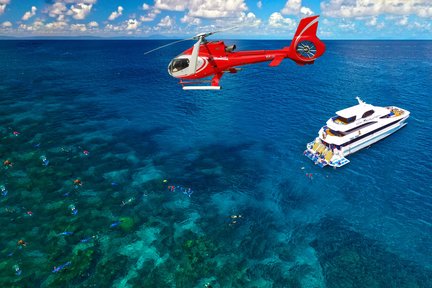 Tour de día completo de esnórquel, buceo y helicóptero en la Gran Barrera de Coral