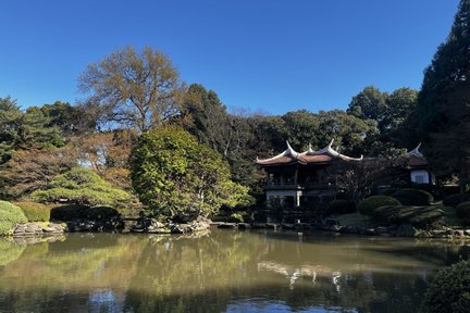 東京都、新宿區 & 澀谷一日徒步遊