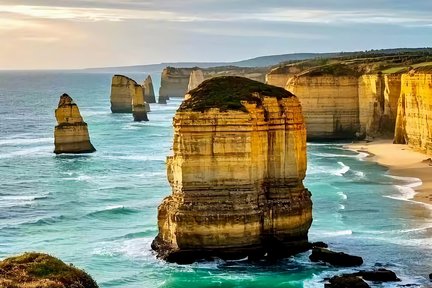Melbourne Great Ocean Road Wild Koala Kangaroo Tour Luxury Coach