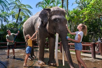 Jumbo Wash Experience at Mason Elephant Park in Bali