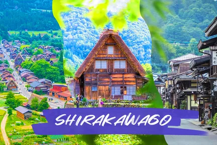 【世界遗产】白川乡一日游|飞弹高山 宫崎骏童话世界白川乡合掌村(可上展望台)|名古屋出发