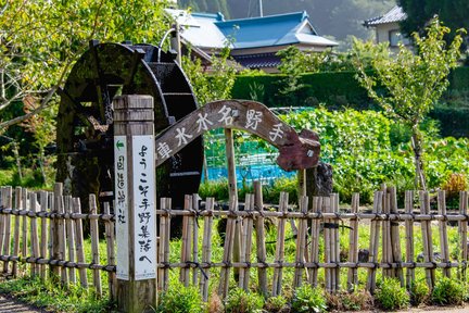 Aso City, Ichinomiyamachi Teno & Kokuzo Shrine One Day Tour