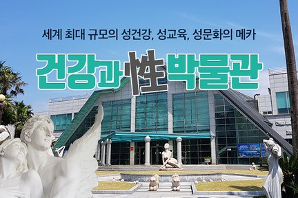 제주 건강과 성 박물관 티켓