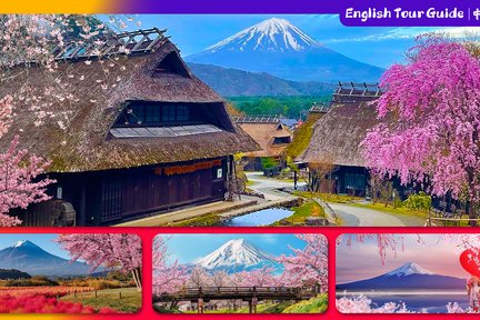 Mount Fuji Four Famous Scenic Spots Day Tour from Tokyo