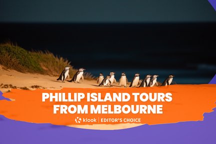 Phillip Island Tours dari Melbourne