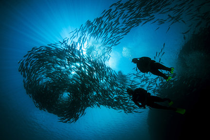 Best Boracay Snorkeling, Philippines 2025