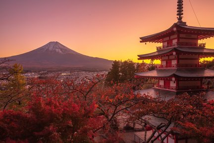 Excursion d'une journée sur les sites pittoresques du mont Fuji et du lac Kawaguchi au départ de Tokyo