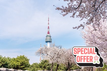 Tiket N Seoul Tower