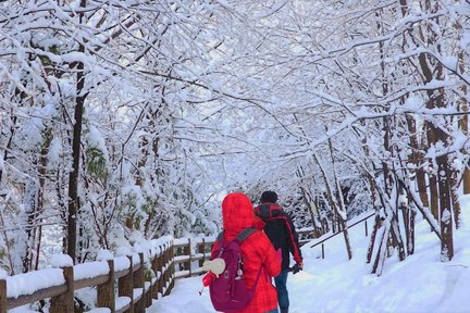 【中古】 南東北日帰り温泉/山と渓谷社/山と渓谷社 中古】 南東北日帰り温泉/山と渓谷社/山と渓谷社の通販 by