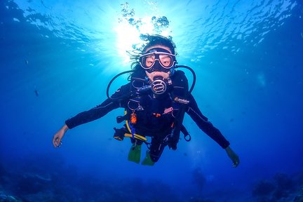 綠島潛水｜綠島島潛 Islands Dive 體驗潛水｜教練比1:1・免證照