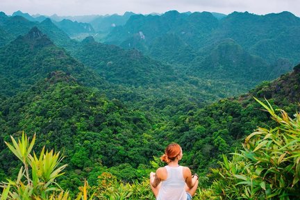 Lawatan Trekking Sehari di Cat Ba National Park dari Cat Ba Island