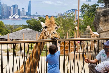 Billet pour le zoo de Taronga à Sydney