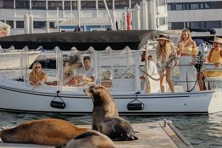 Los Angeles Luxury Cruise Experience with Wine, Cheese & Sea Lions