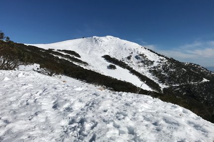 布勒山導覽之旅（墨爾本出發）