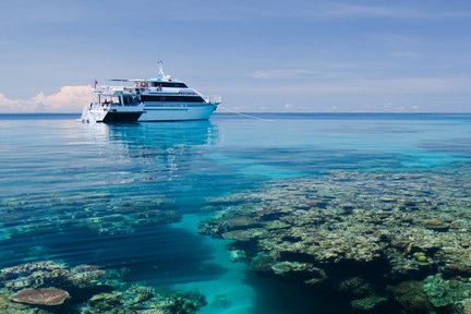 PADI Learn to Dive di Cairns (5 Hari)